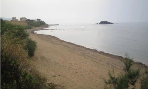 veaumarin