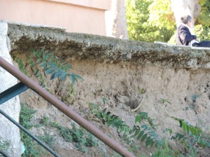 place_cherchell01